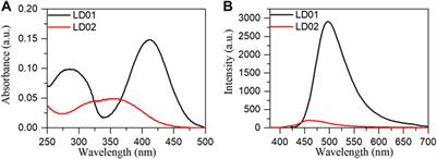 Responsive Fluorescent Coumarin–Cinnamic Acid Conjugates for α-Glucosidase Detection